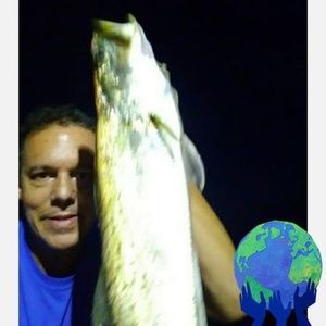 Meet your Posher, Ernie